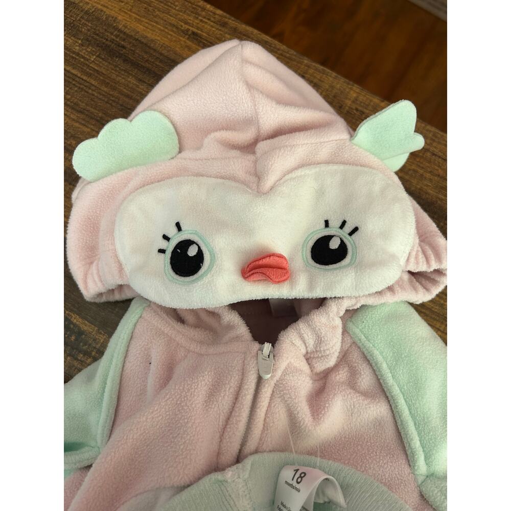 Carter's Pink and Mint Owl Costume - Picture 8 of 8